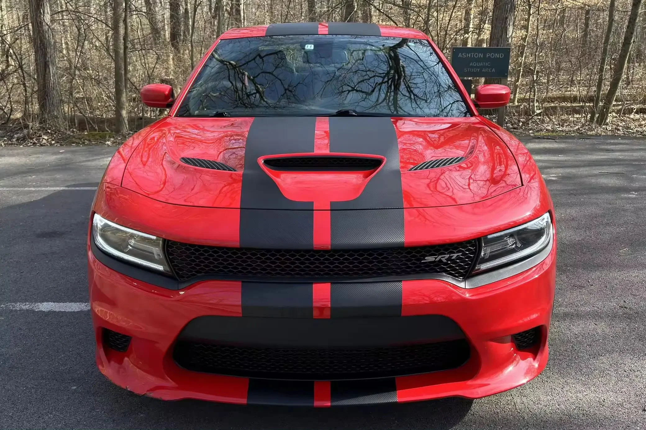 USED 2021 D0 dge C harg er SR T Hell cat 1 Owner Supercharged V8 Harman Kardon Audio Group Mostly Unmodified