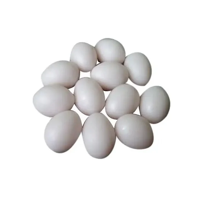 Fresh Chicken Table Eggs - Fertilized Hatching Chicken Eggs,White And