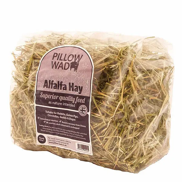 Natural Cattle Alfalfa Hay Animal Feed Timothy Alfalfa Hay For Sale Buy High Quality Alfalfa