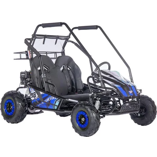 Bulk Price Kart 196cc 212cc 2 Seater Go Cart Kids Go Carts Gas Powered