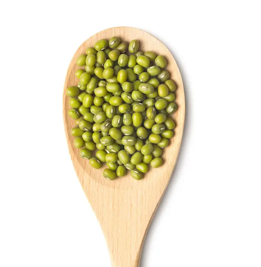 Mung Beans Good Quality Green Mung Beans Wholesale Price for export Philippines