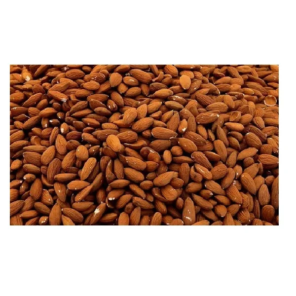 High Quality Dried Raw Almond Nuts for Food Use