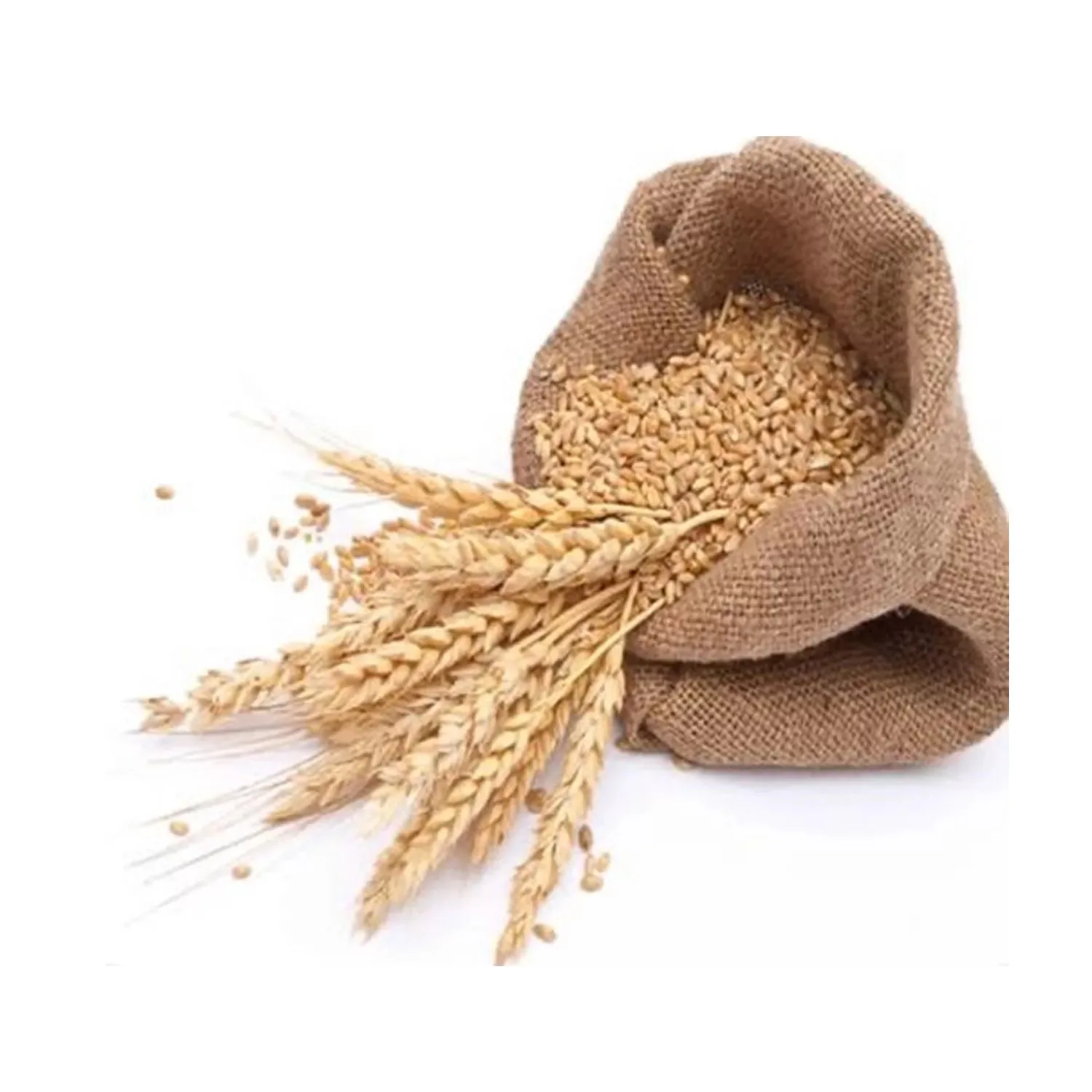 Wholesale Natural Pure Dried Wheat Grain High Quality Soft & Hard Wheat ...