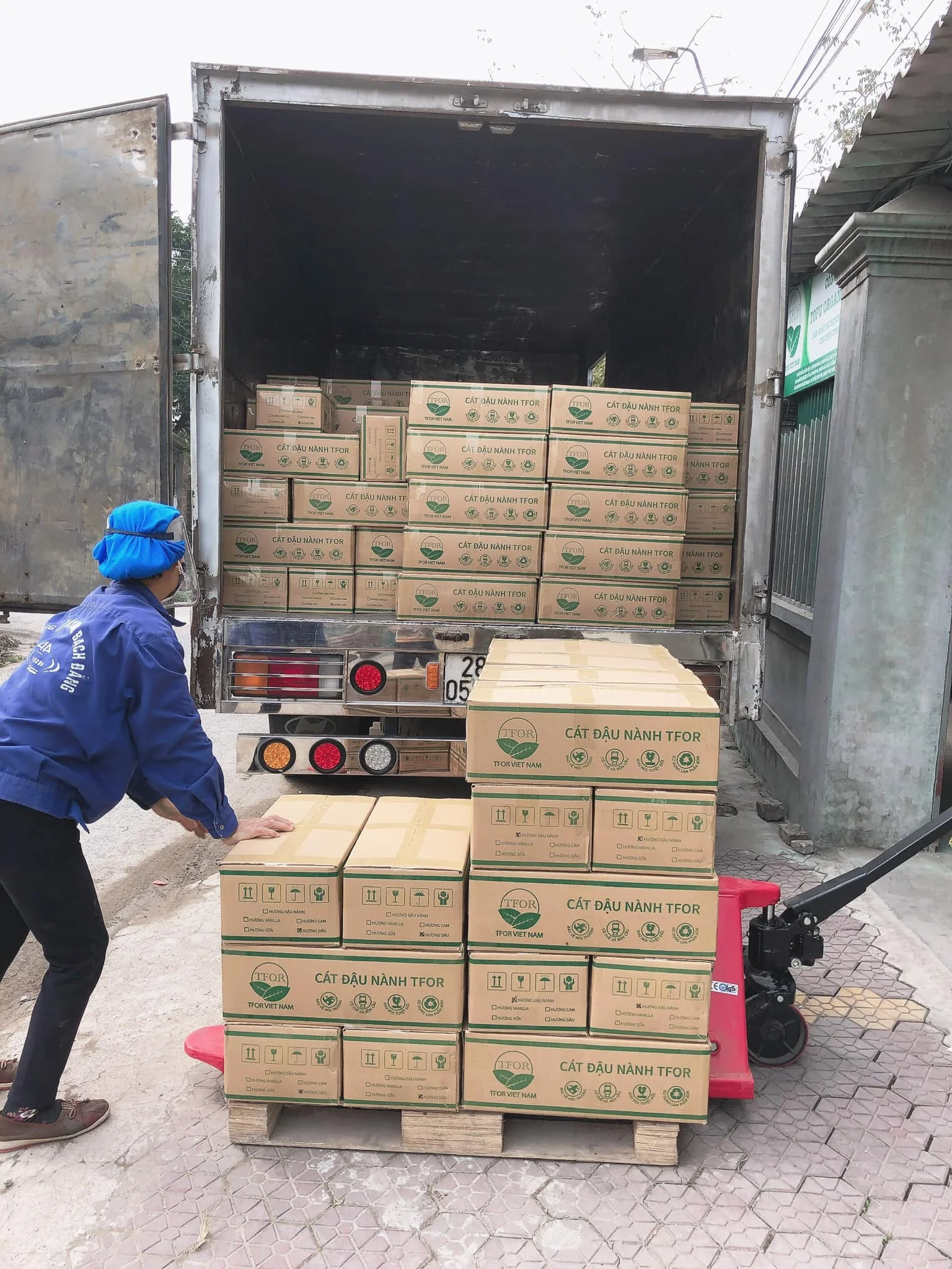 All Natural Ecofriendly Dust Cat Litter Quickly Clumping Odor Control