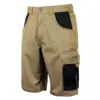 Option 5