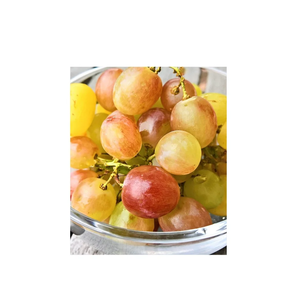 wine-2749275_640.jpg