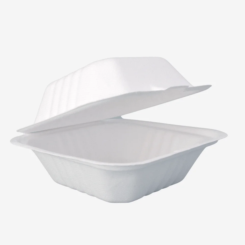9x6 Inch Bagasse Clamshell Box|Eco Friendly Compostable Takeaway Food ...