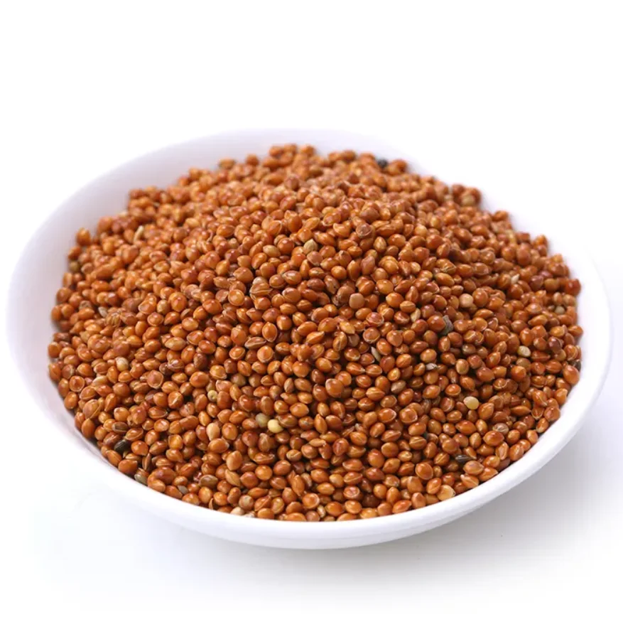 Ragi Red Millet Bajra/ Millet Bajra Seeds Dried Millet,Hulled Red