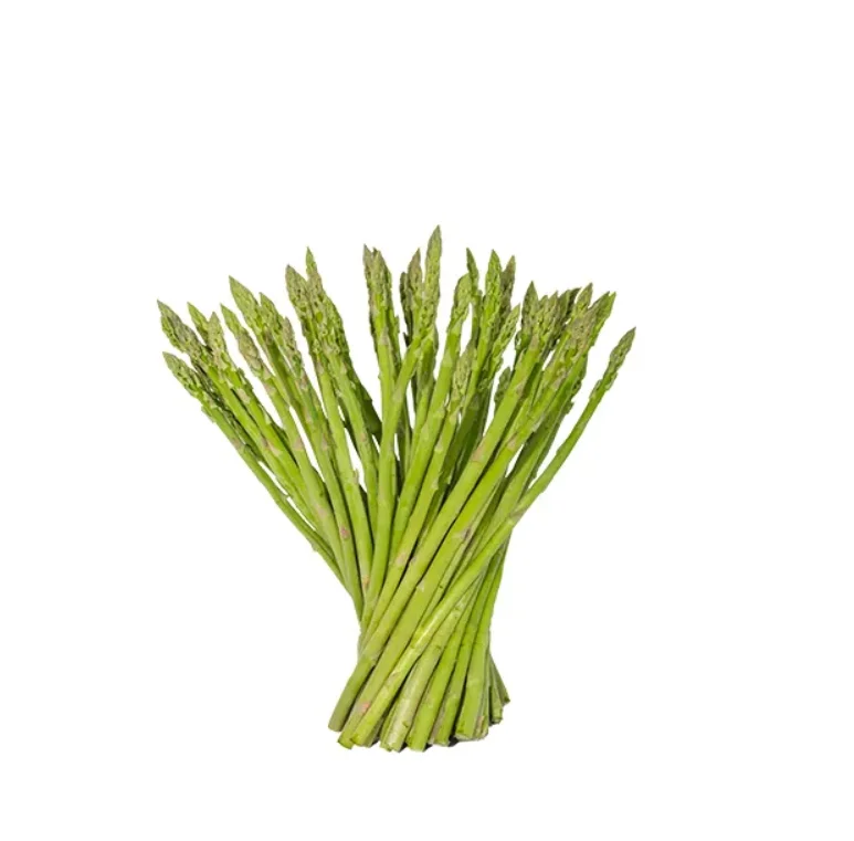 1 (1).png