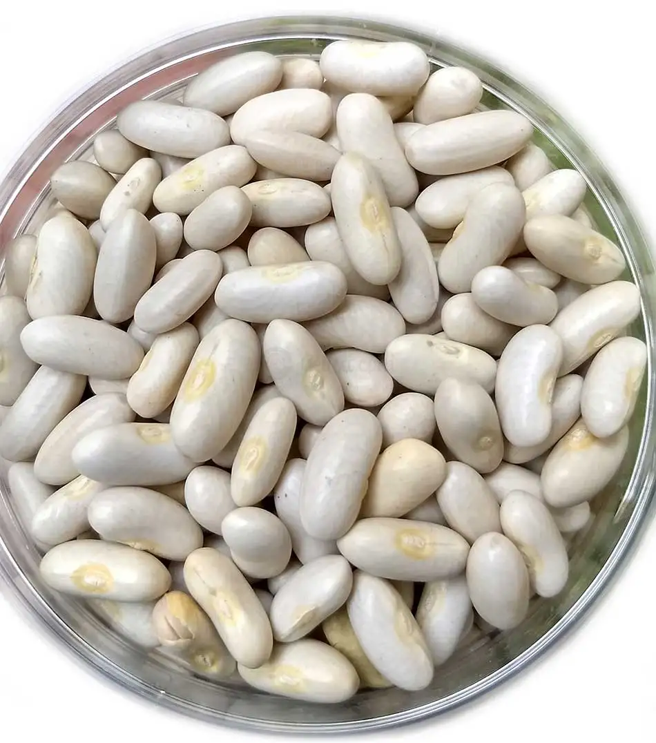 New Crop Wholesale Natural White Kidney Beans Hot Selling Dried Beans for Food Bulk Packaging