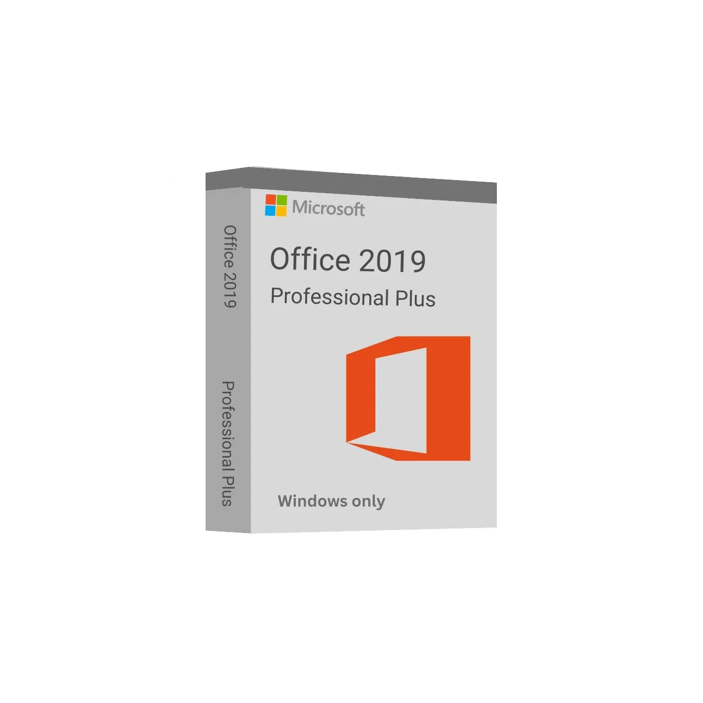 Microsoft Office 2019 Professional Plus Installation Service Germany