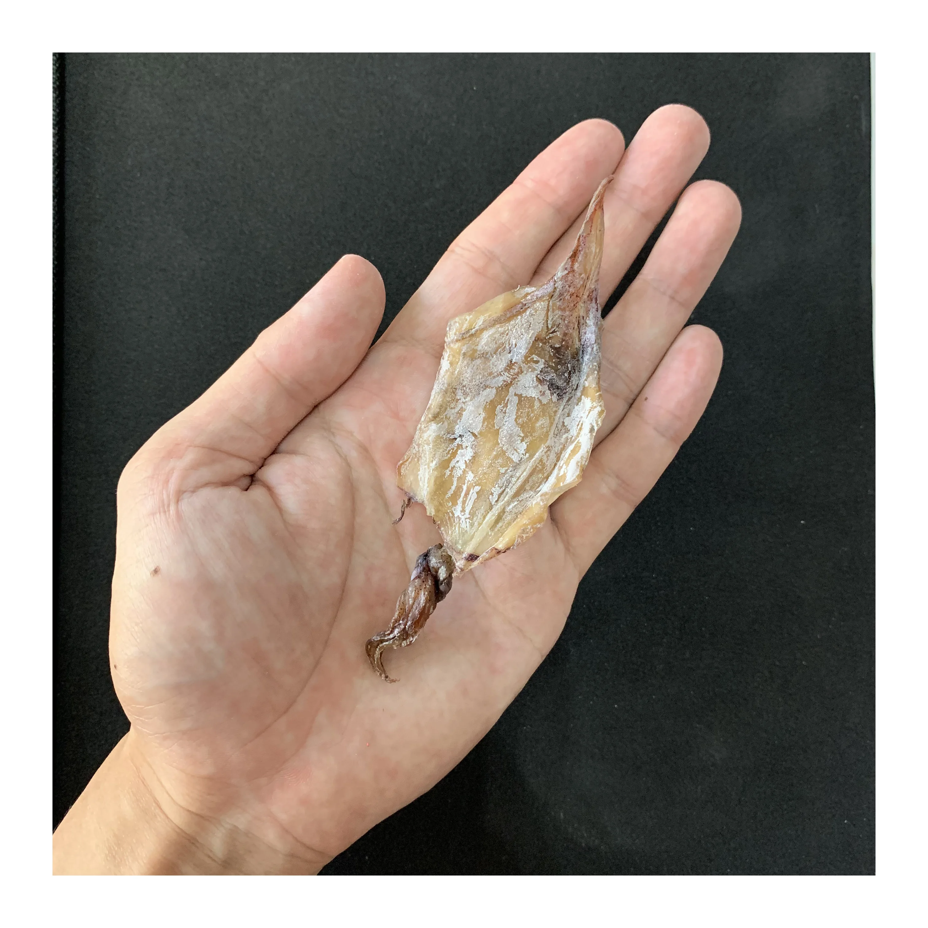 Малайзия самый продаваемый высококачественный сушеный детский кальмар желтого или коричневатого цвета халяльная пища с