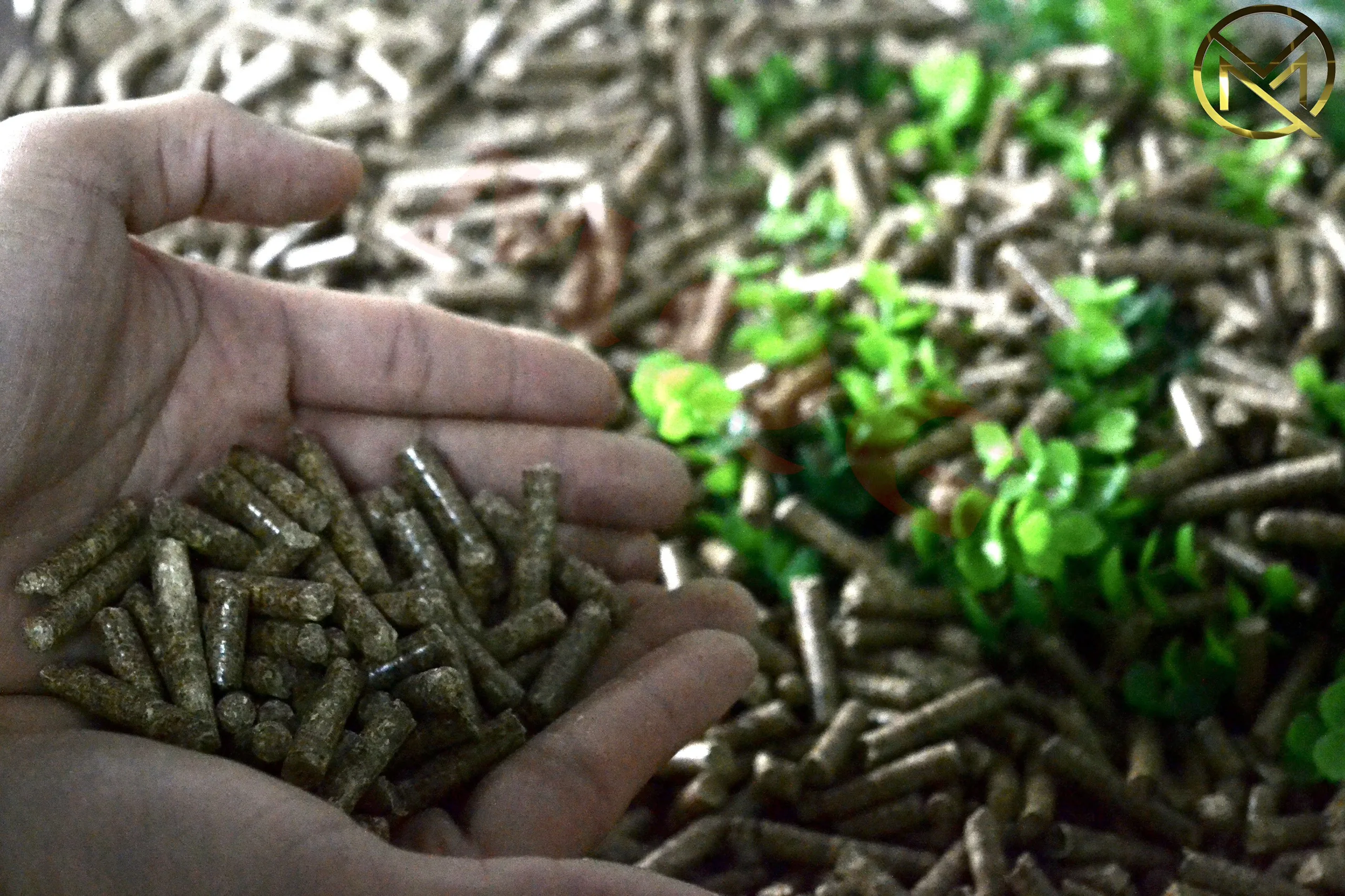 Top 2023 Wood Pellets >1 Ash 6mm8mm Biomass Burning And Fuel For