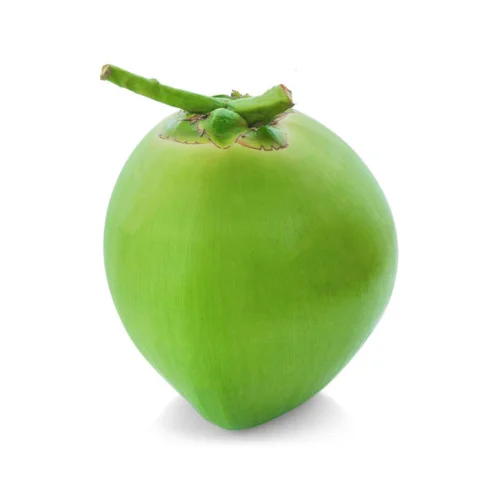 Свежий зеленый молодой кокосовый кокос высшего качества Лучшая цена кокос для оптовых продаж сделано в Бен Тре, Вьетнам