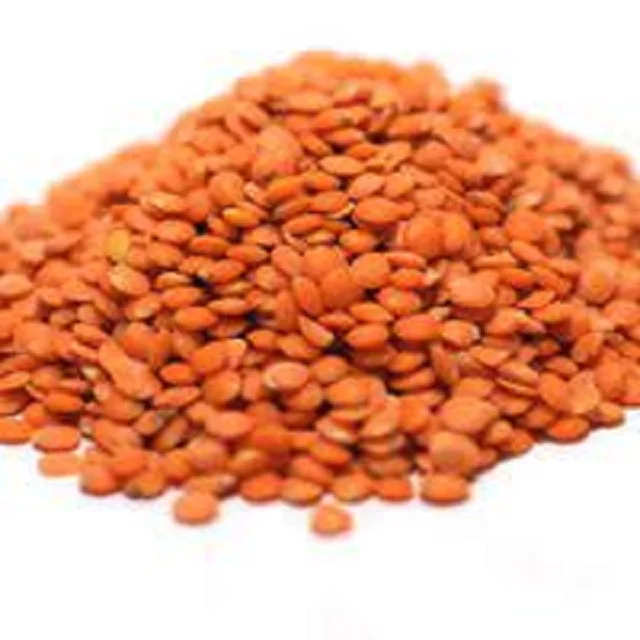 High Quality Lentils Beans Red Lentils Canada Red Lentil Specifications At Best Price Buy Red