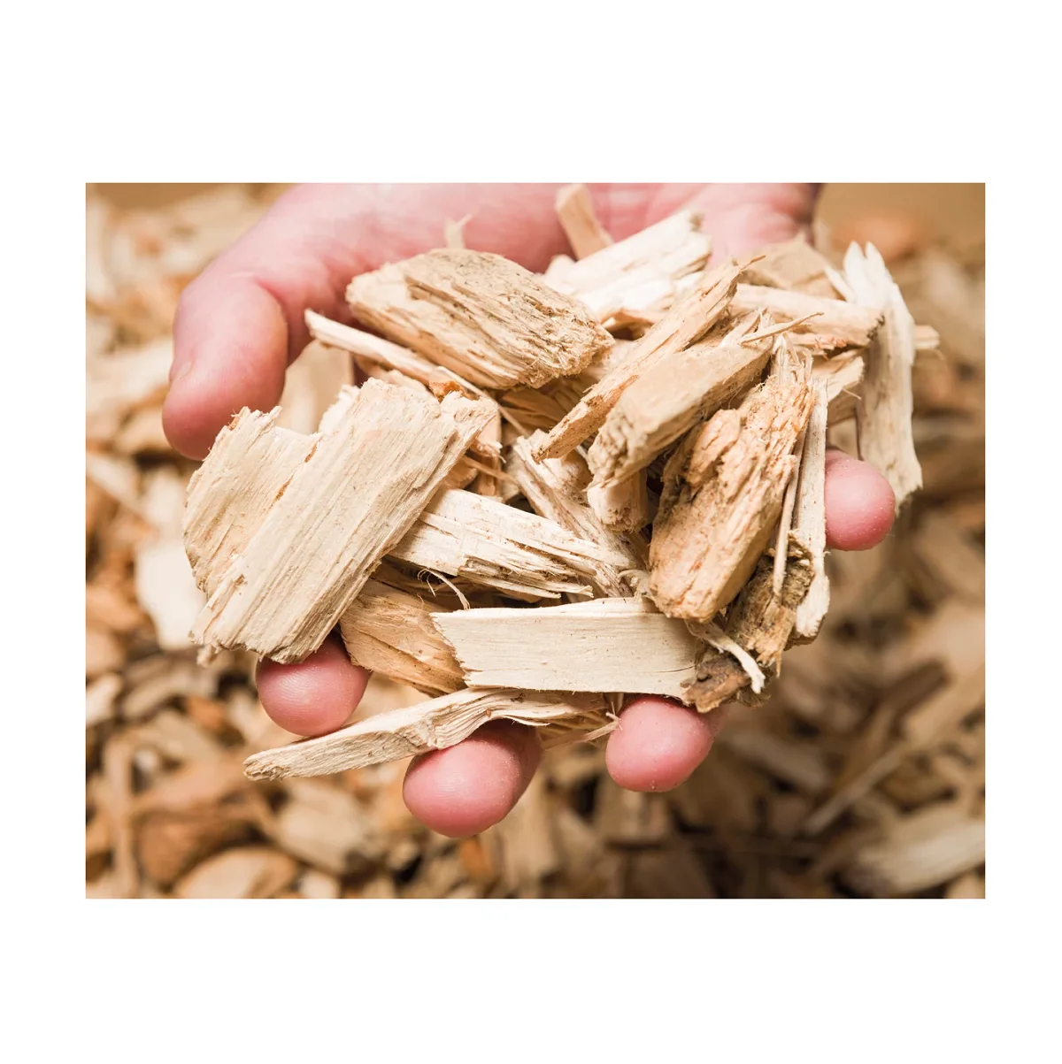 2024 BIOMASS FUEL Wood Chips For Making Pulp/Biomass Fuel in Austria Best Quality Good Price