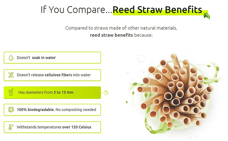 Reed Straws Wholesale