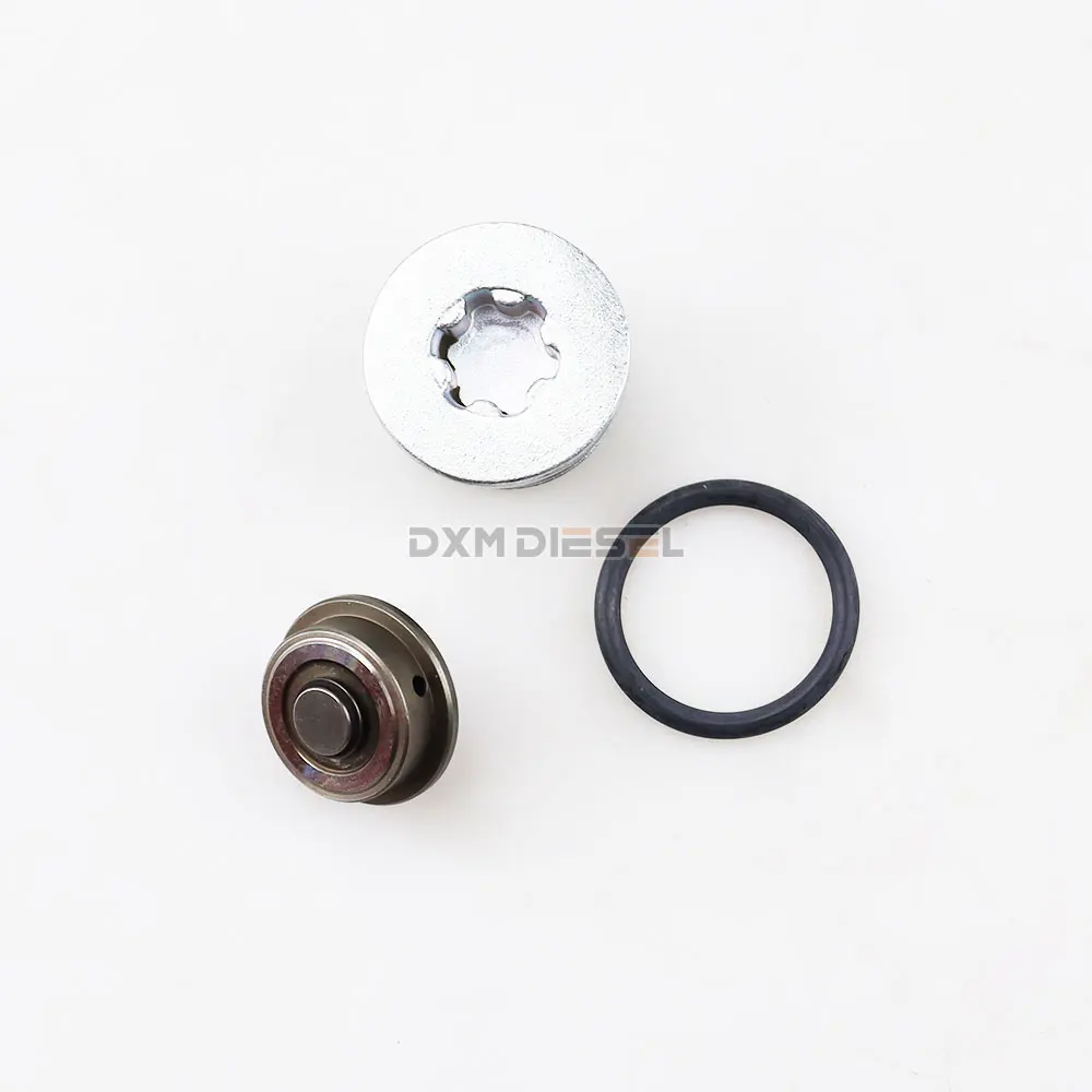 DXM high quality Rebuild Overhaul kits F00N01244