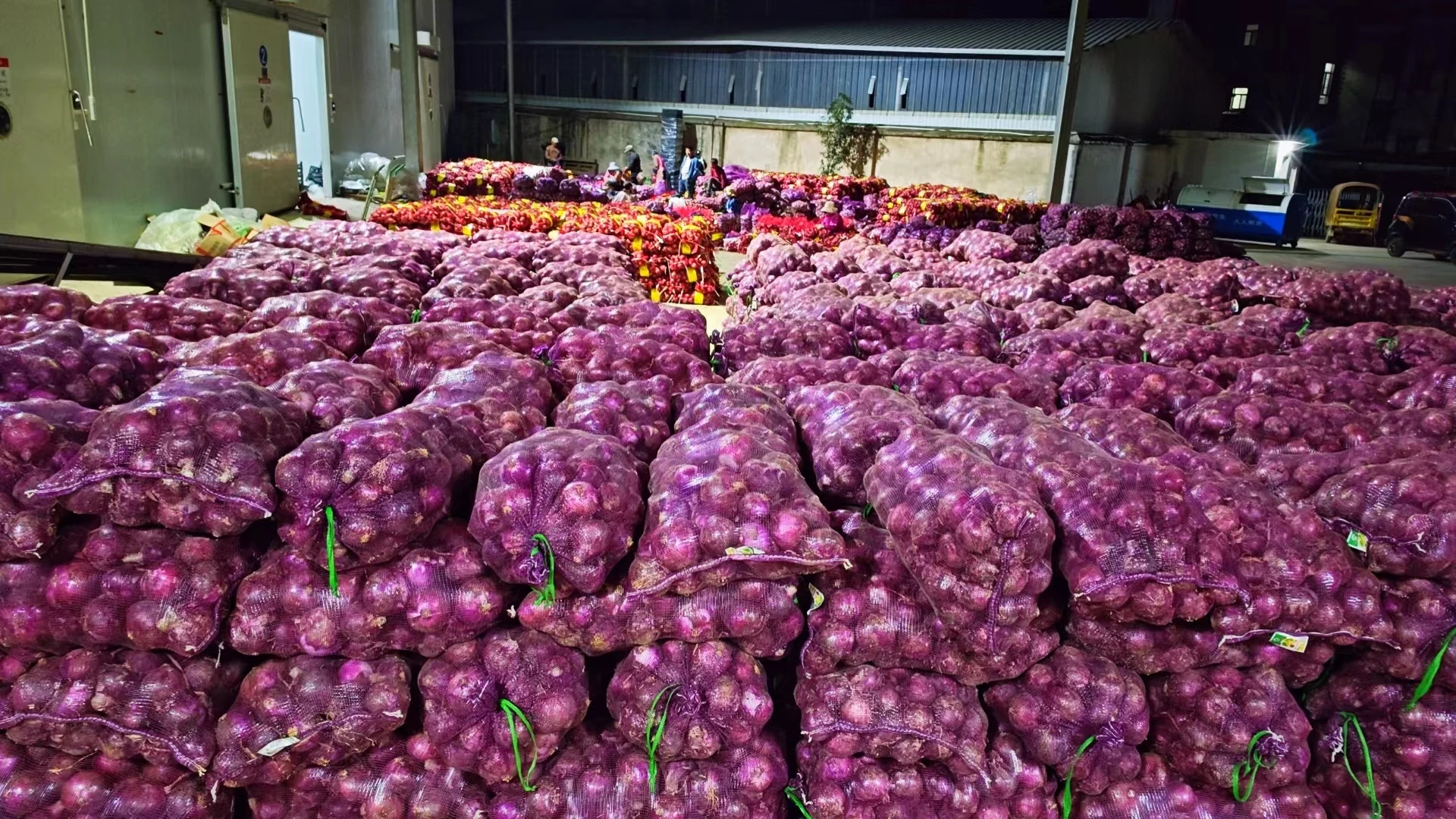 Свежий высококачественный лук поставщиков в Китае красный круглый свежий из на складе год