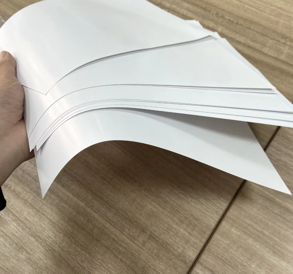 Coated Single Side Gloss Duplex Board 115-200gsm C2S in Roll Anti-Curl AA Grade 100% Wood Pulp for Gift & Craft