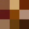 สีน้ำตาล
