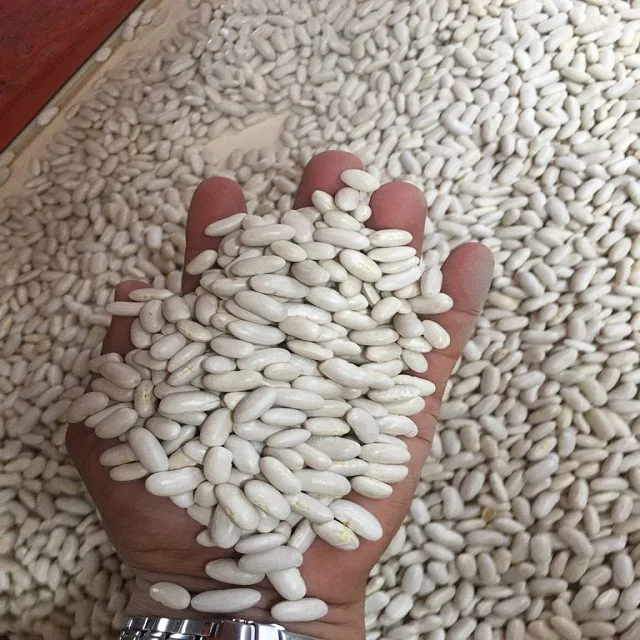 1kg Raw Dried Natural Mottled Pinto Beans Whole Pinto Bean For Food