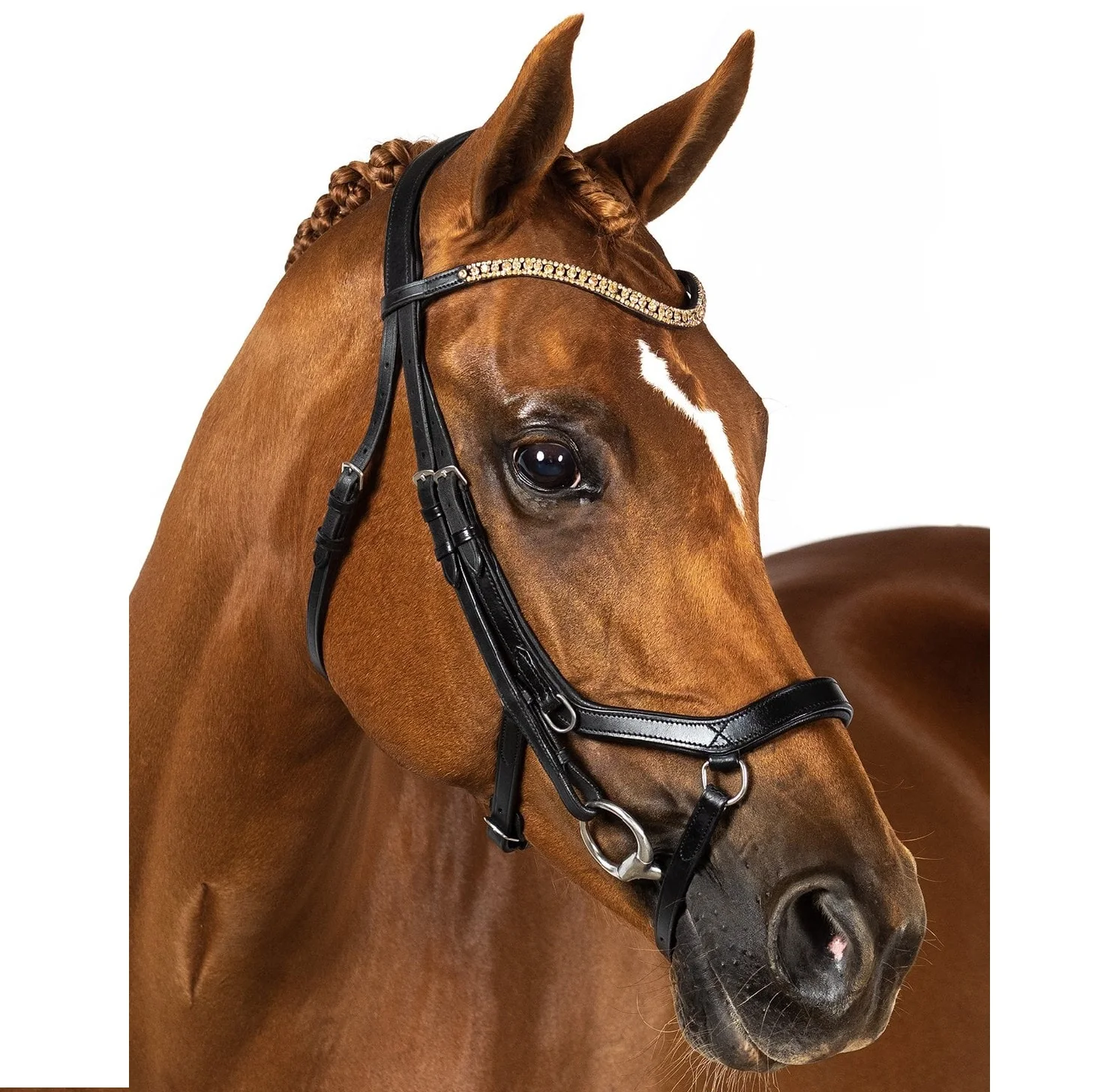 Micklem Horse Bridle On High Quality Indian Drum Dyed Leather With Ss