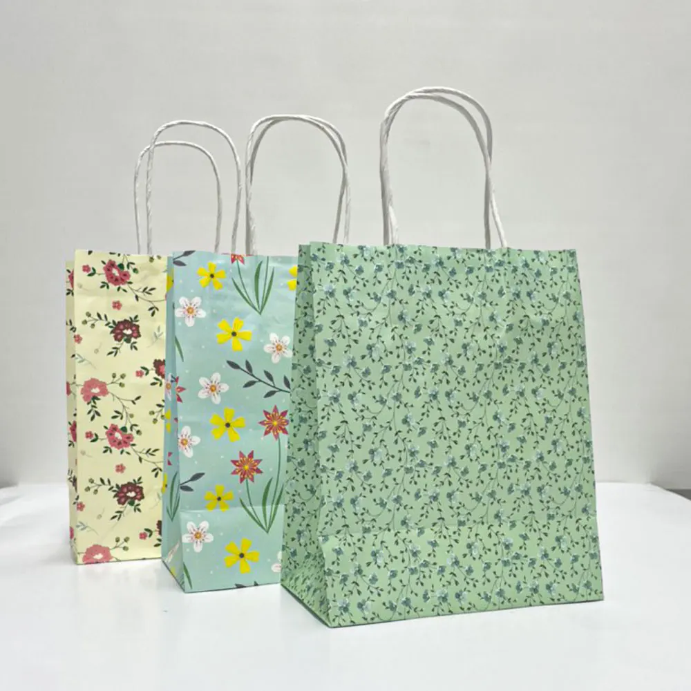 Customize Design Kraft Fancy Shopping Paper Bag Printing T Custom Oem Craft Gsm Item Time 7294