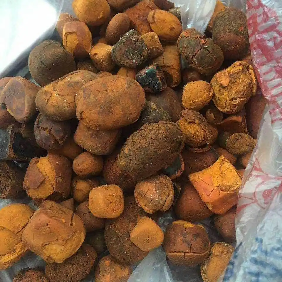 Wholesale Natural and Pure top Quality Ox Gallstones Cattle For Sale/Gallstones Cow Gallstones Buy Cow Gall Stones for sale