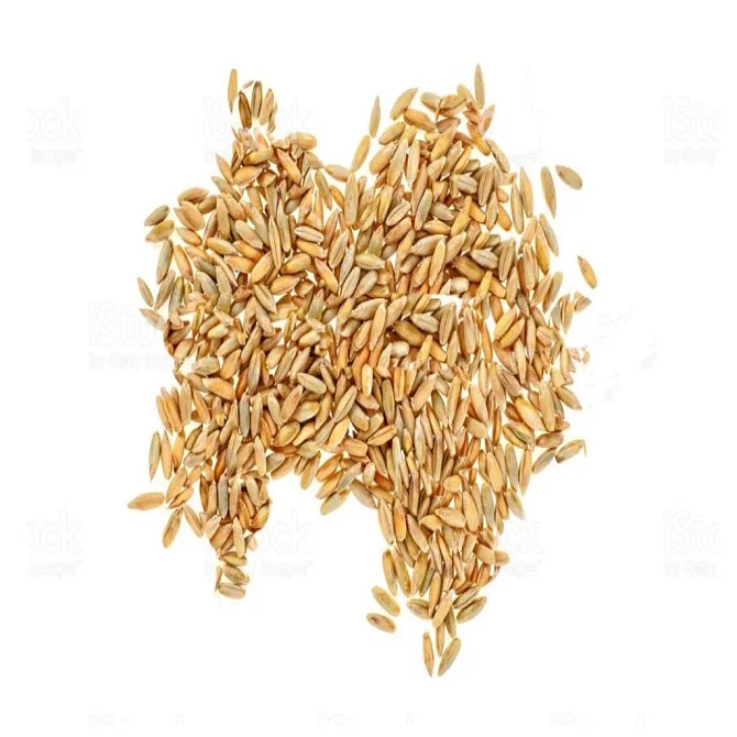 Wheat Berries & Pearled Barley Express Shipping