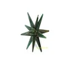 Green Jade