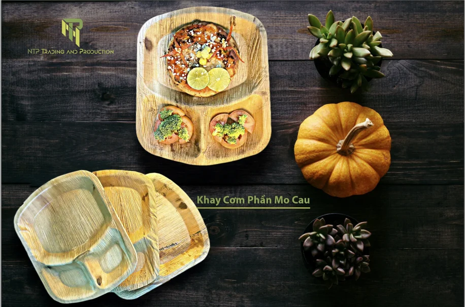 Eco Friendly Disposable Dinner Plates 100 Biodegradable Heavy Duty