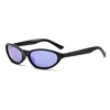 C5: Tortuga Morado Oscuro / Espejo Morado