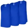 Royal Blue 21