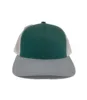 green-gray/ white