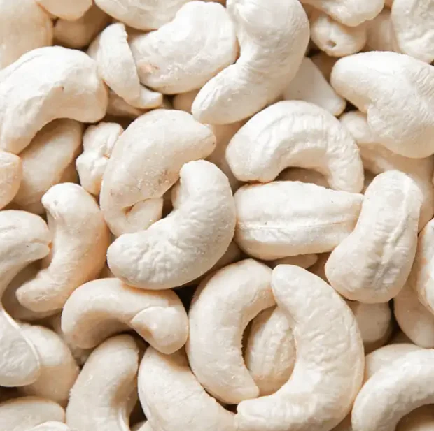 Food Grade Fresh Cashew Nuts Best Quality Cashew Nuts W320 W240 Export