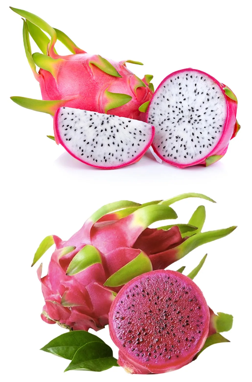 Vietnam Dragon Fruit / Pitaya White And Red Flesh Buy Global Gap
