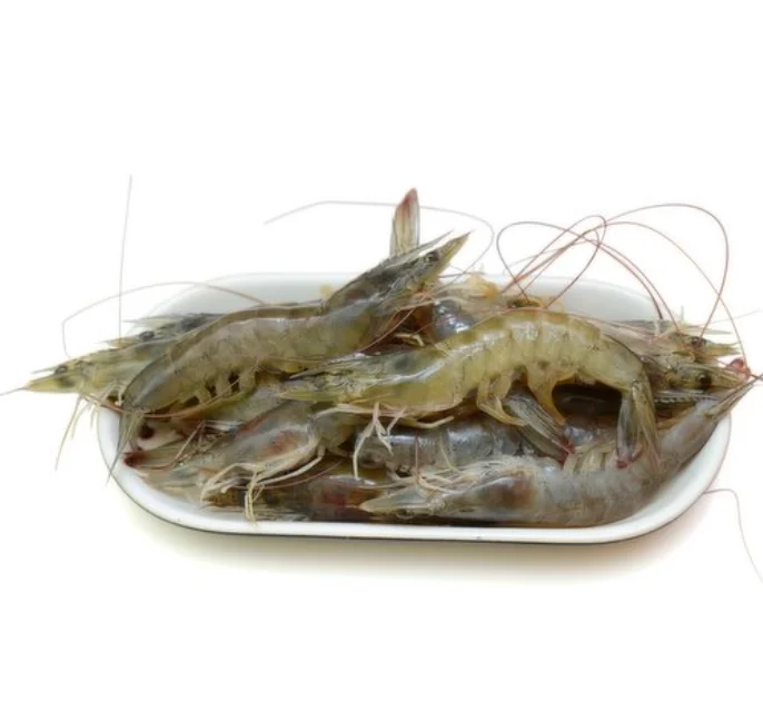 Best Quality Fresh Frozen Vannamei White Shrimp For Sale At Best