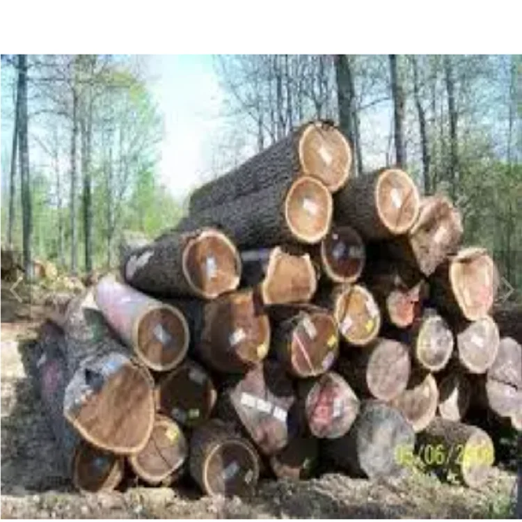 Wholesale Solid Wood Logs Black Walnut Slab Timber Grade ABUBINGA BUBINGA