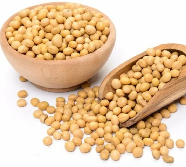 Premium Quality Soybean/ Soya Bean/ Soybeans Seeds Buy Soy Bean,White