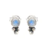 Rainbow Moonstone