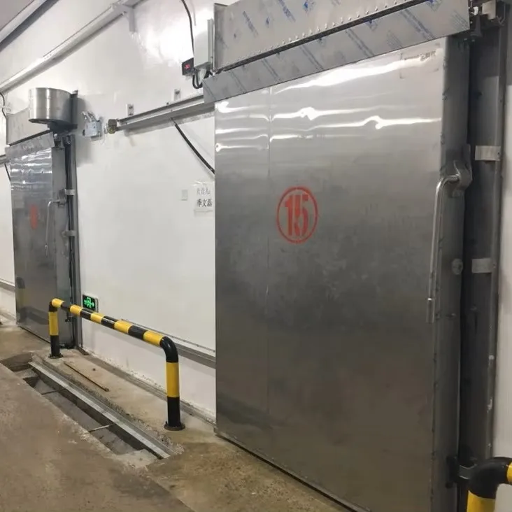 Customized sliding or hinged cold storage doors for industrial freezers and cold storage