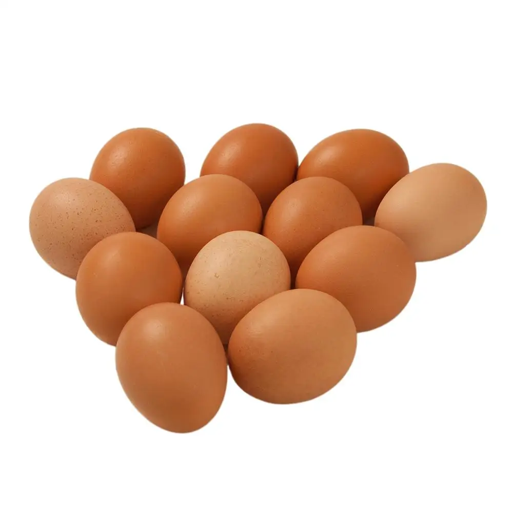 Organic Fresh Chicken Table Eggs & Fertilized Hatching Eggs Buy