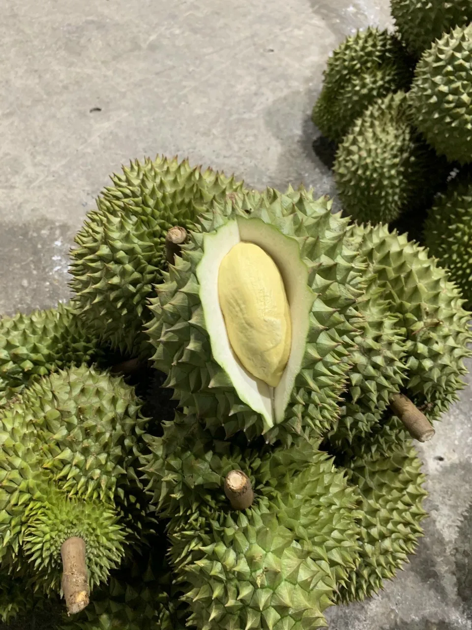 Vca Best Fresh Durian Vietnam Fresh Durian Best Price 100% High Quality ...