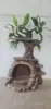 Natural tree