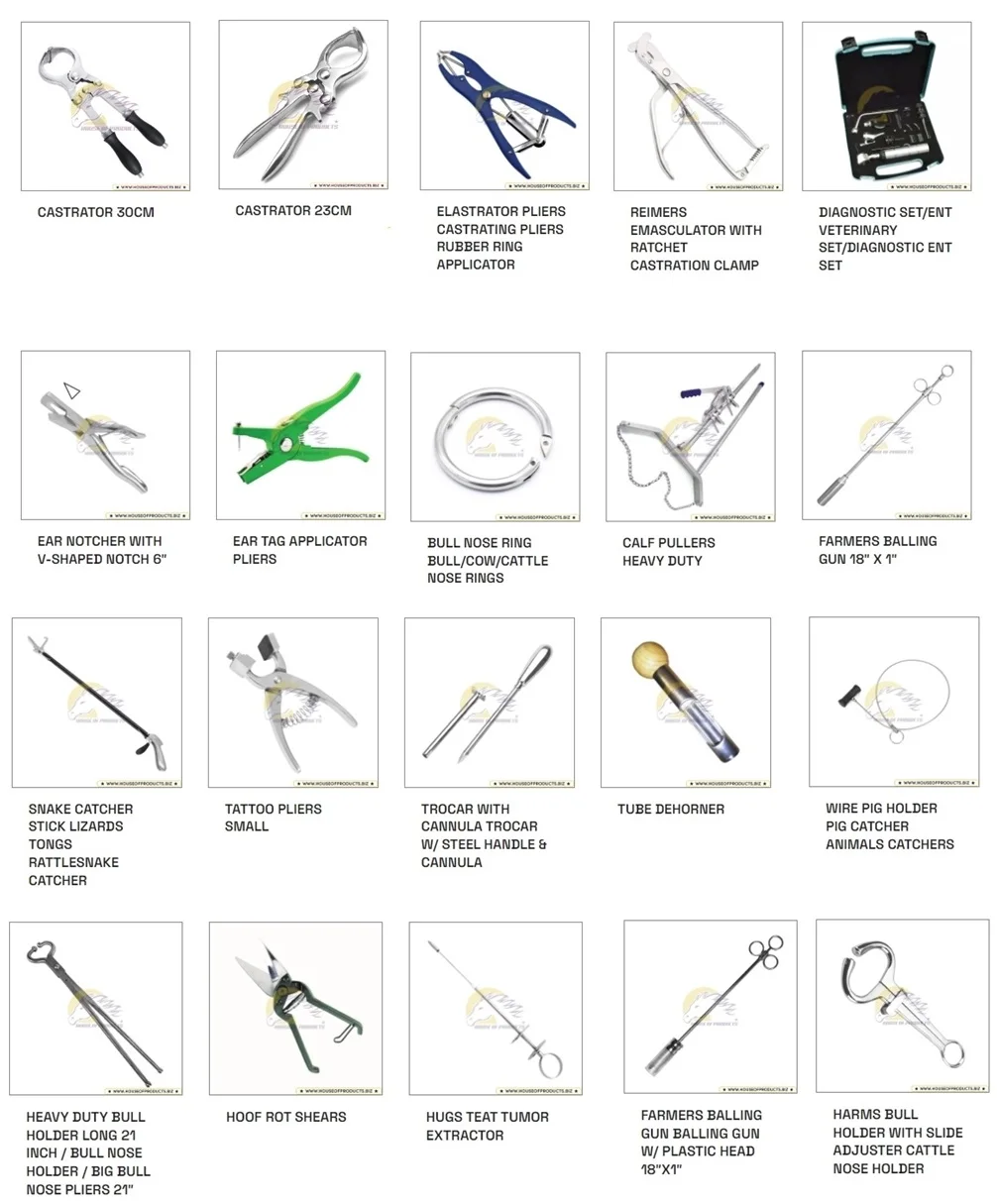 Equine Dental Mirror 40mm Periodontal Instruments Horse Dental