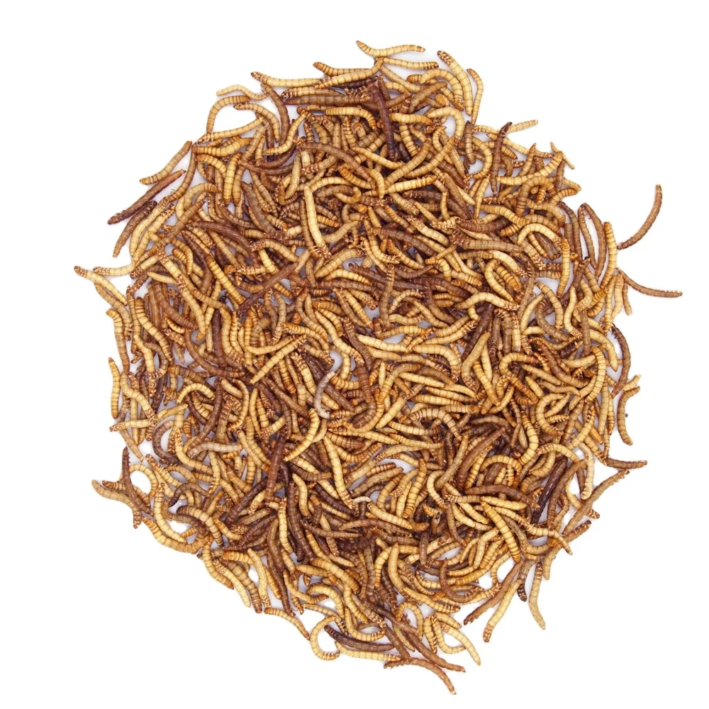 Factory Supply Mealworms Dried For Fish Meal Hamster Food