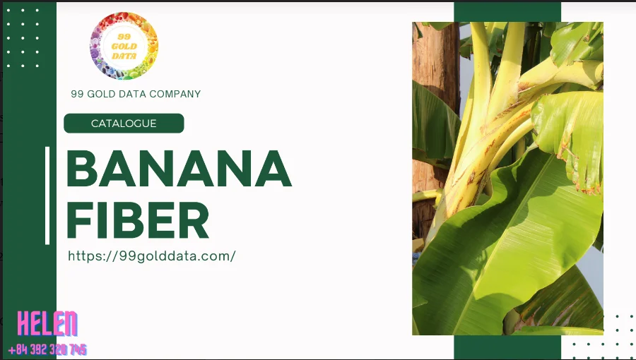 High Quality Sustainable Banana Fiber Best Use For Making Paper And Wet