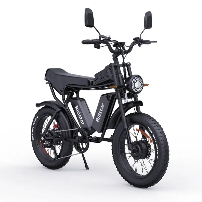 RIDSTAR Q20 Pro 20"*4.0 Fat Tires Electric Mountain Bike 2*1000W Motor 52V 40Ah Dual Battery