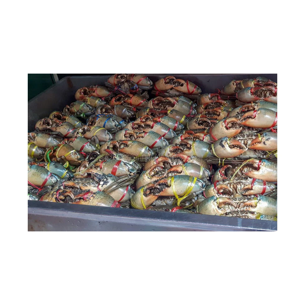 Оптовая продажа грязевой Краб/кокровый Краб/мясной краб